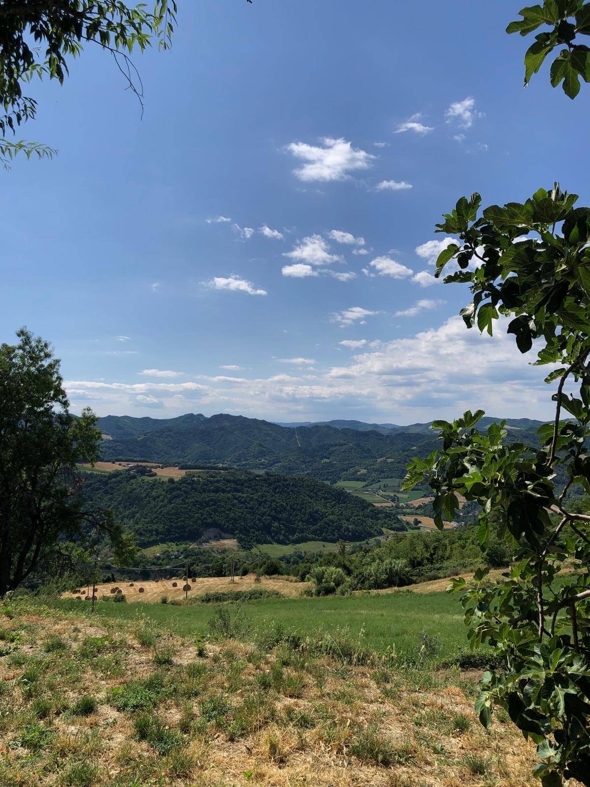 Colline circostanti